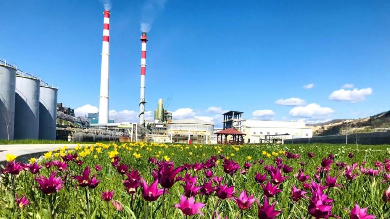 塞尔维亚赏金船长铜业打造绿色冶金“花园工厂”